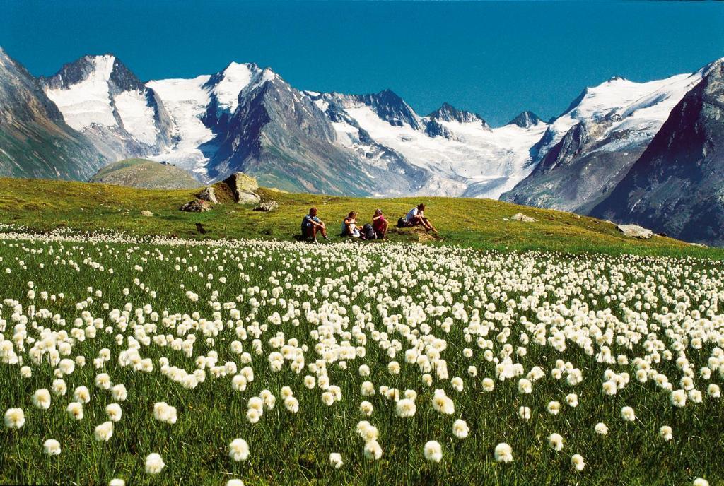 Villa Alpin Obergurgl Ngoại thất bức ảnh
